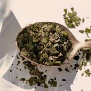 Organic Guayusa Tea - Image 4